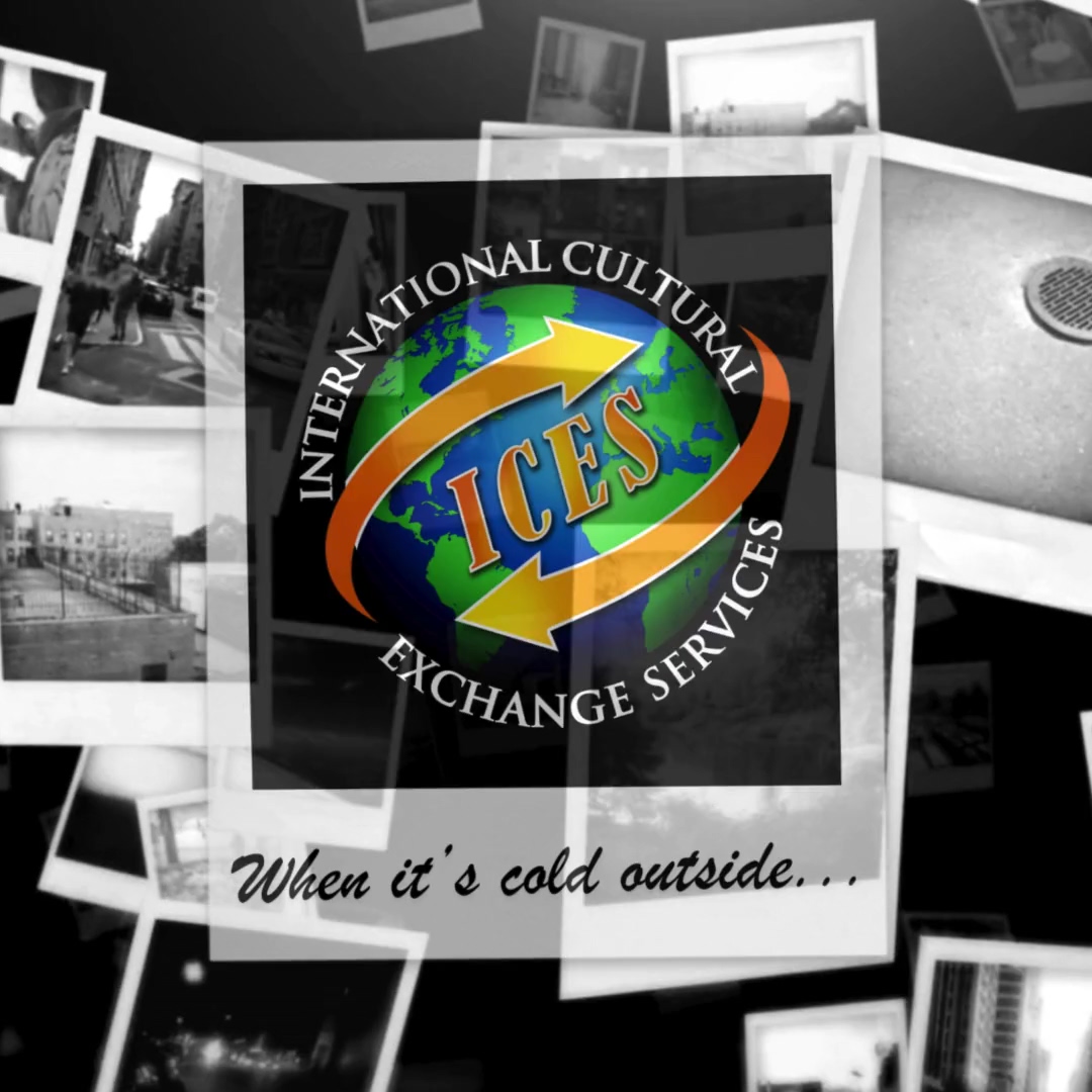 Newsletter Holiday Video Final